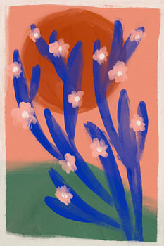 Blue Desert Cactus