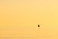Een zeilschip op het IJsselmeer tijdens zonsondergang van Bas Meelker thumbnail