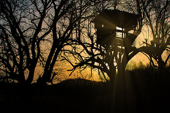 Achtergrondverlichting