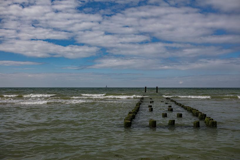 the tide is coming in by anne droogsma
