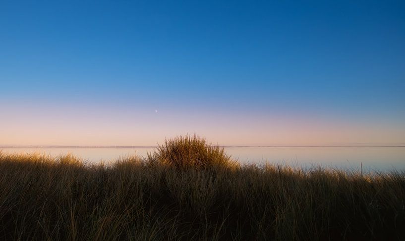 Coast by Bo Valentino