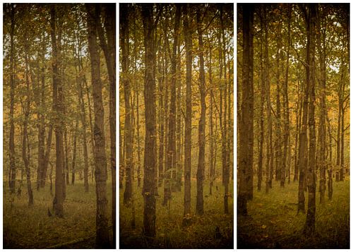 lauwersmeer triptych 11
