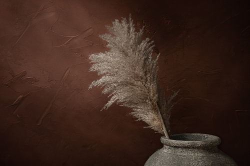Plume de pampa & orange brûlé