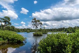 The island in the Voorste Goorven in summer daylight. by Els Oomis