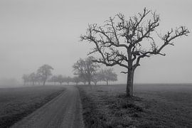 A quiet morning in the Kraichgau by Marcel Hechler