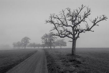 A quiet morning in the Kraichgau