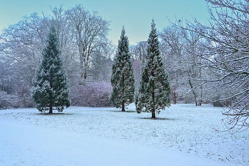 Winterse Symmetrie in het Rivierenhof