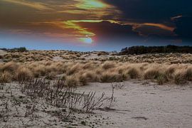 sun by richard admiraal