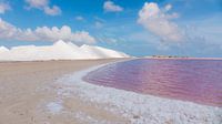 salt flats bonaire