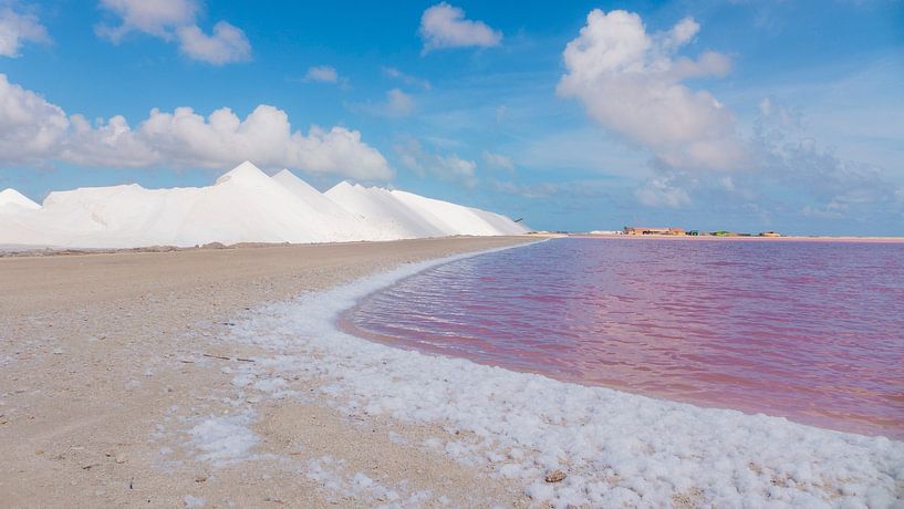 zoutpannen bonaire par Ivana Luijten