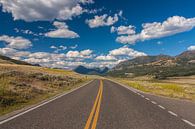 Endless roads in Yellowstone NP van Ilya Korzelius thumbnail