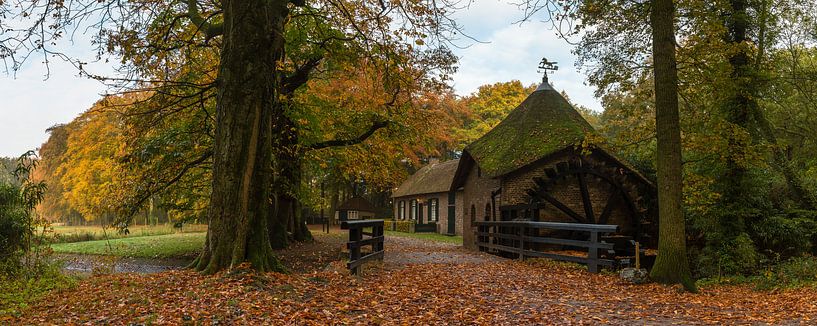 Autumn At The Watermill van William Mevissen