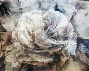 Abstrakte Rose