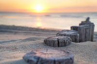 Piles on the beach in Zeeland