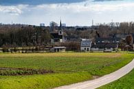 The farm road towards Ossel by Werner Lerooy thumbnail