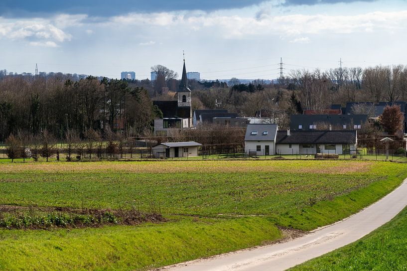 The farm road towards Ossel by Werner Lerooy