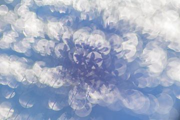 Bubbels en bloemen van Wendy de Waal