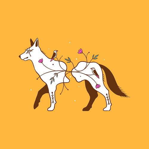 Connecting Wildlife Wild Dog