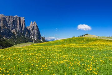 Lente op de Alpe di Siusi in de Dolomieten van Dieter Meyrl