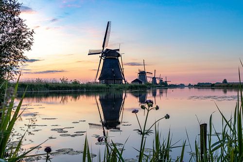 De windmolens in Kinderdijk.