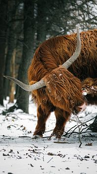 Highlander écossais près de Deelerwoud