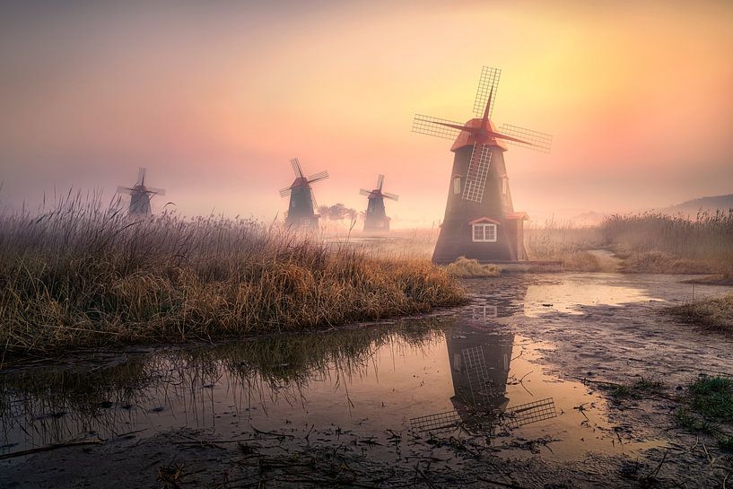 Nebliger Morgen von Tiger Seo