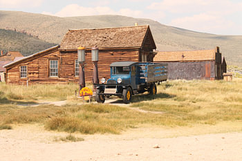 Bodie
