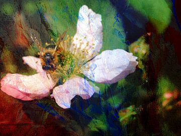 An einem schönen Frühlingstag