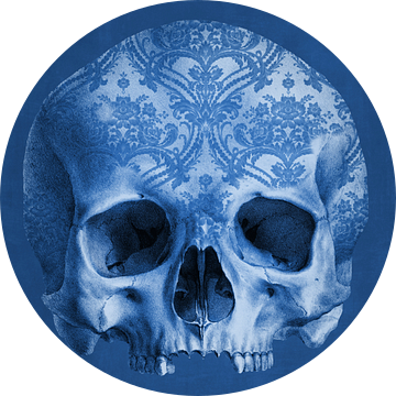 The Delftblue Skull van Marja van den Hurk