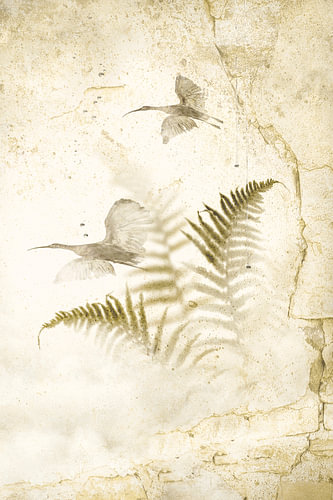Ibisvögel mit Farnen von Alie Ekkelenkamp