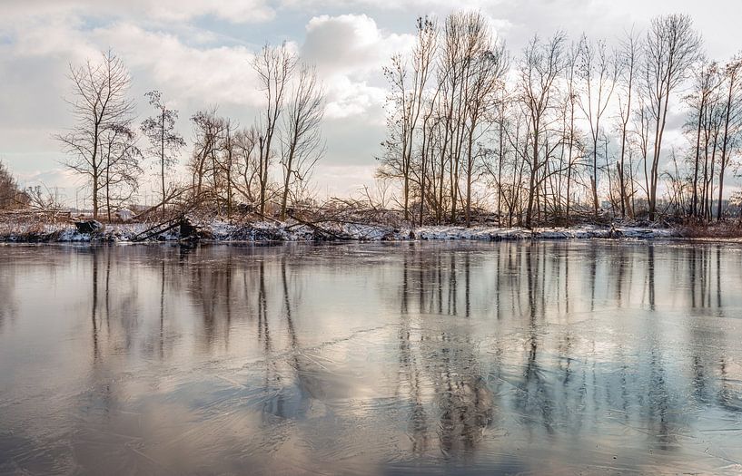 Kahle Bäume spiegeln sich in der Wasser- und Eisfläche von Ruud Morijn