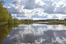 Hoge Bergse Bos bei Zevenhuizen an einem bewölkten Tag von Robin Verhoef