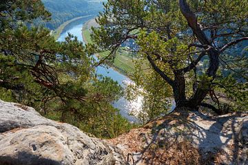 Blick auf den Fluss Elbe im Elbsandsteingebirge