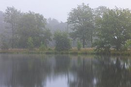 Dwingelderveld - Drenthe (Pays-Bas)