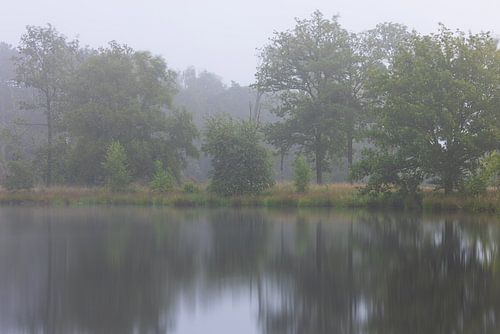 Dwingelderveld - Drenthe (Nederland)