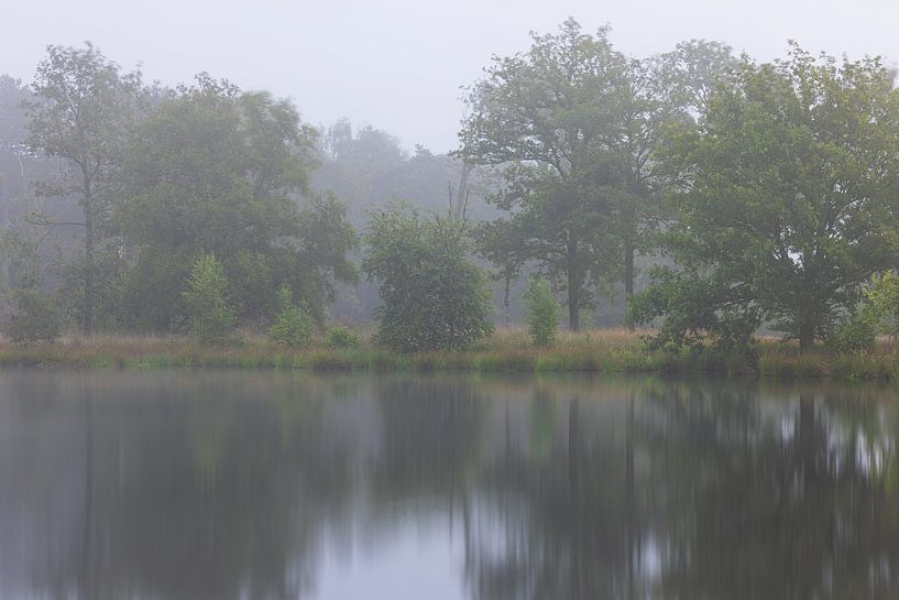 Dwingelderveld - Drenthe (Netherlands) by Marcel Kerdijk