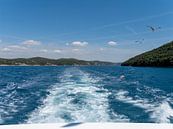 Bootsfahrt in Kroatien von ronald Bergen Bravenboer Miniaturansicht
