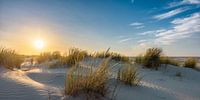Zonsondergang in de duinen II