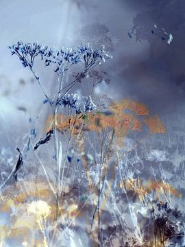 The Fields XXXIV van Zand