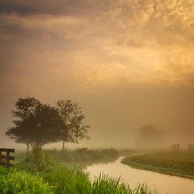 Misty mornings van Ard Jan Grimbergen