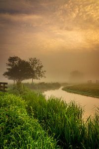 Misty mornings van Ard Jan Grimbergen