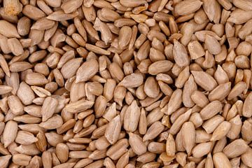 Graines de tournesol grillées créant un arrière-plan d'ingrédient alimentaire sain sur de-nue-pic