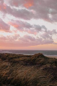 Coucher de soleil aux couleurs pastel dans les dunes d'Ouddorp
