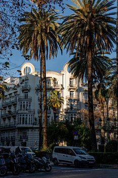 Valence avec des palmiers