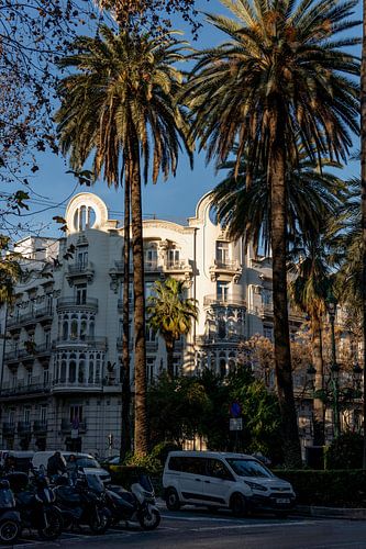 Valence avec des palmiers