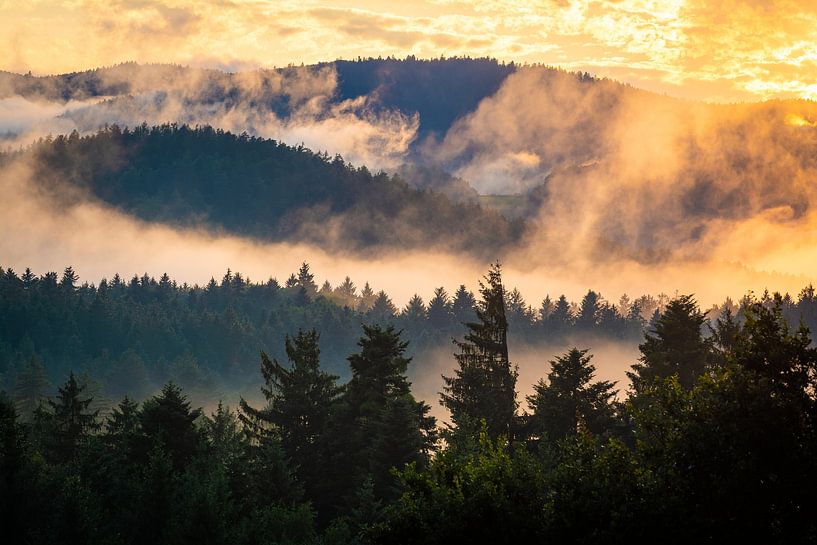 Soirée d'été dans la forêt bavaroise par Martin Wasilewski