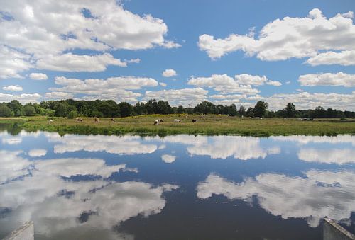 stapelwolken