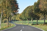 Slingerende landweg door een herfstlandschap von Gonnie van Hove Miniaturansicht