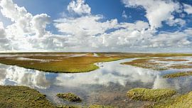 Ternaard Spiegelung Wattenmeer Niederlande von R Smallenbroek