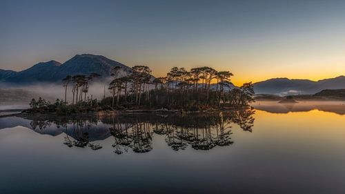 Pinieninsel - Connemara von Peter Bijsterveld